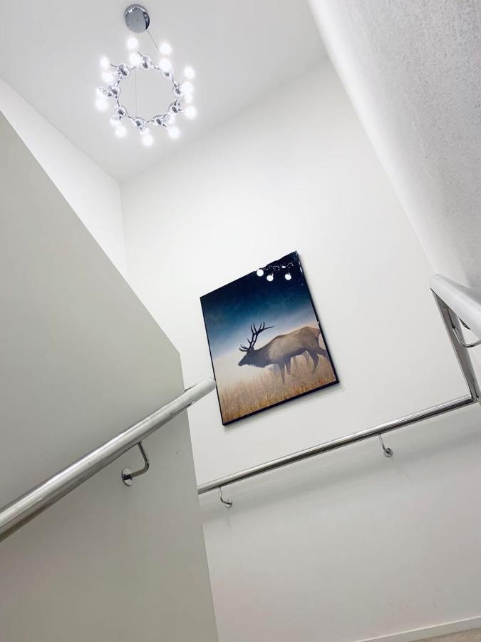 Colombo Lodge Hotel Christchurch Luaran gambar